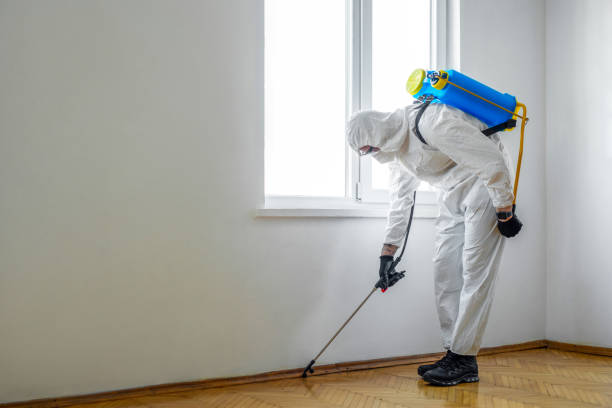 Best Real Estate Pest Inspections  in Clear Lake, IA